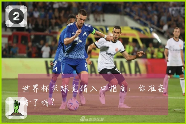 世界杯买球竞猜入口指南，你准备好了吗？