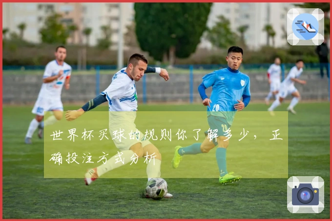 世界杯买球的规则你了解多少，正确投注方式分析