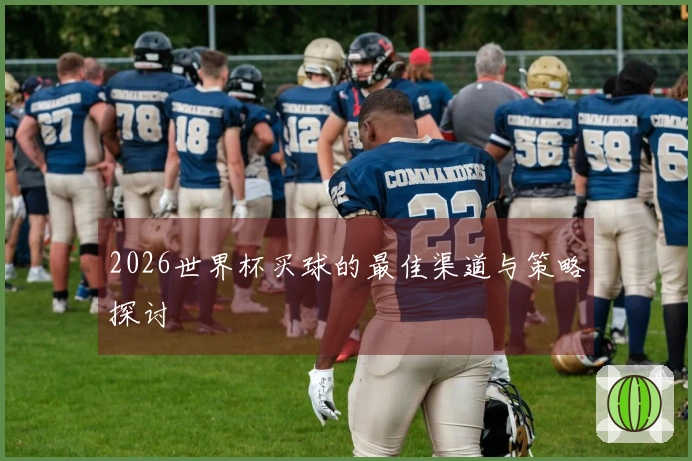2026世界杯买球的最佳渠道与策略探讨
