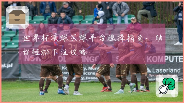 世界杯滚球买球平台选择指南，助你轻松下注攻略