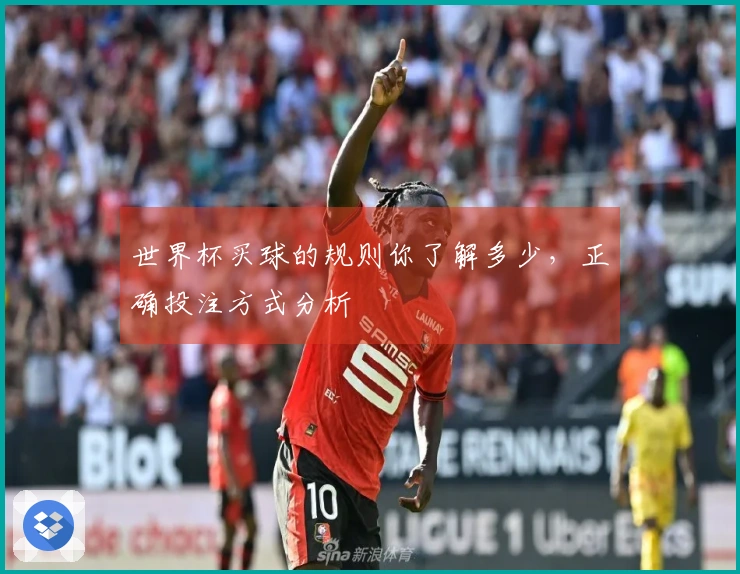 世界杯买球的规则你了解多少，正确投注方式分析